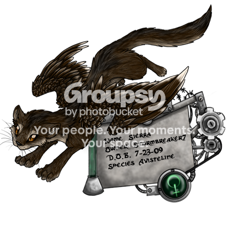 User Image